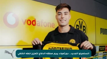 أنسلمينو الجديد.. دورتموند يبرم صفقة الدفاع لتعزيز خطه الخلفي